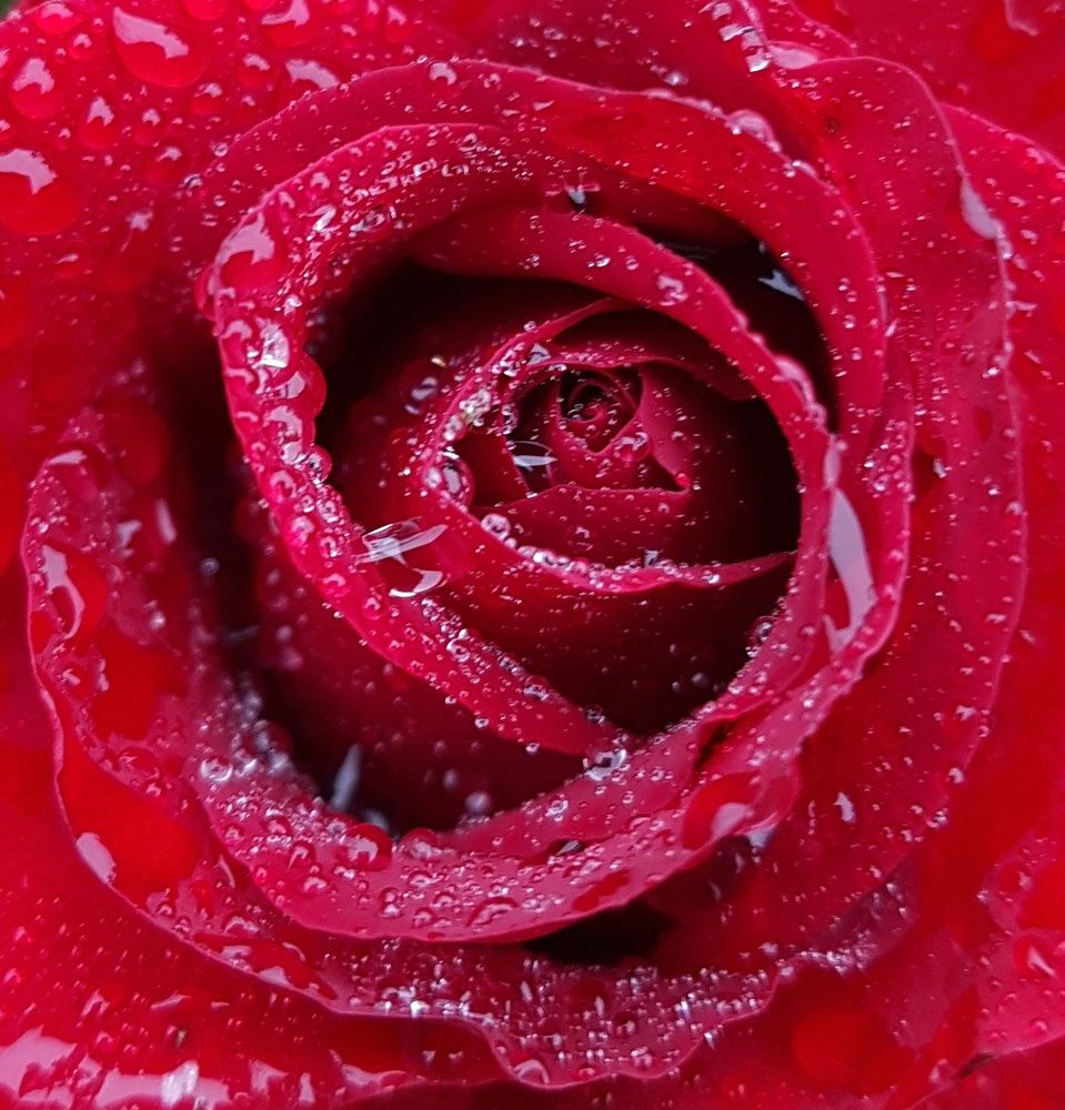 Венчая формы каплями дождя