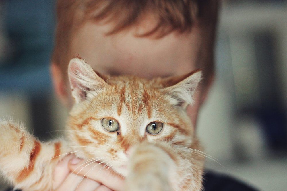 Photograph by Екатерина