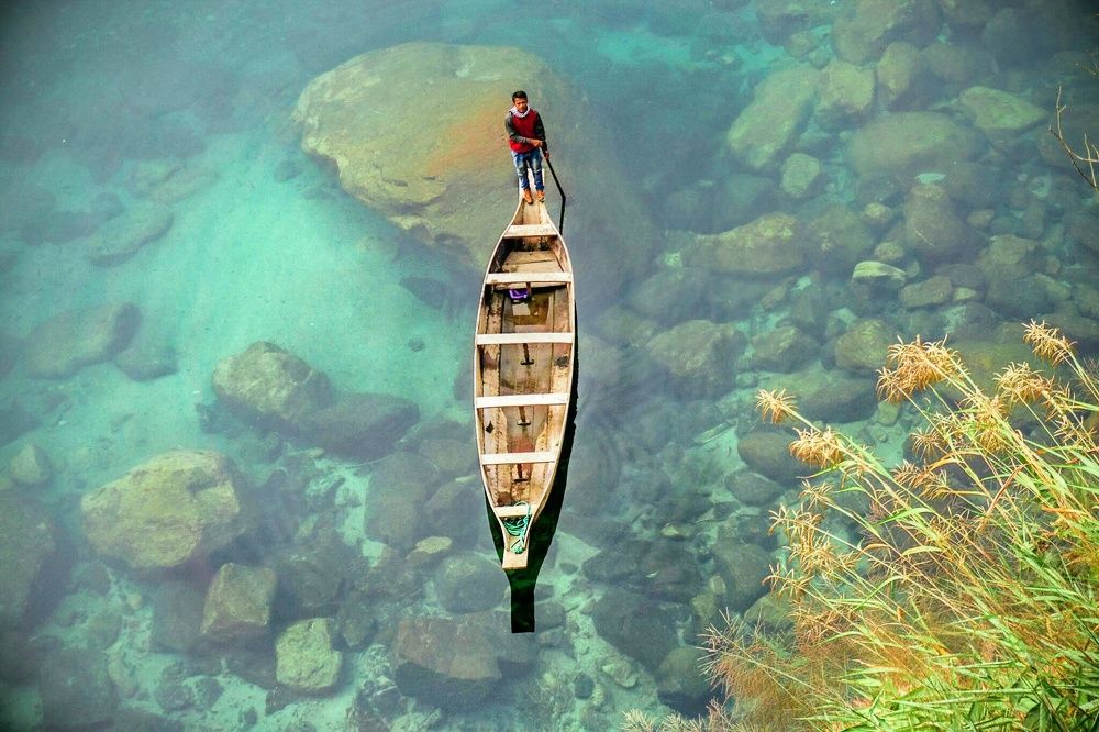 Looking for the fish,,