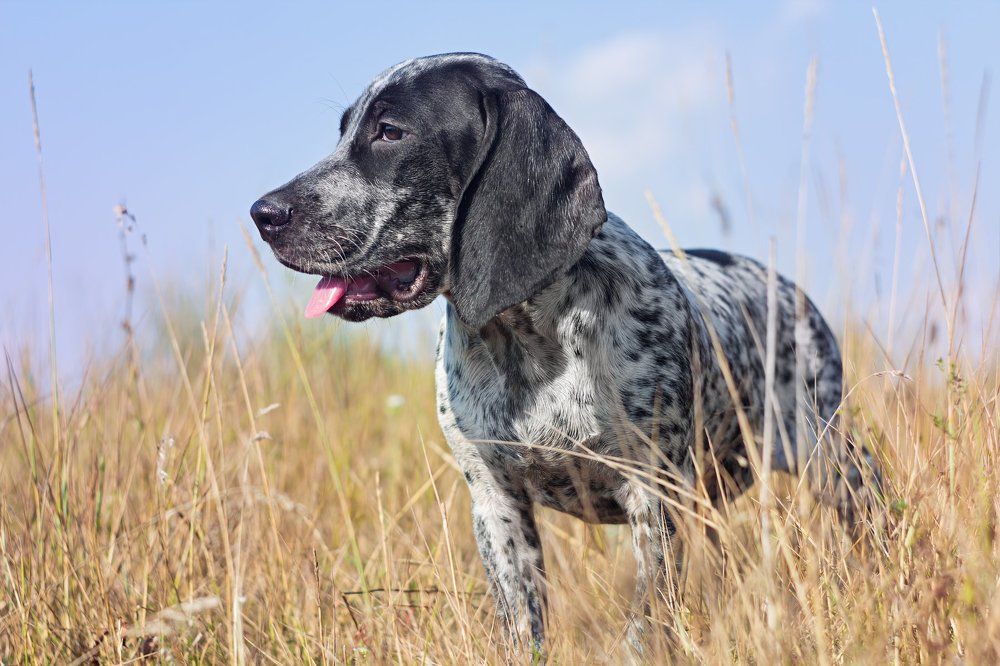 Photograph by Юрий Котов