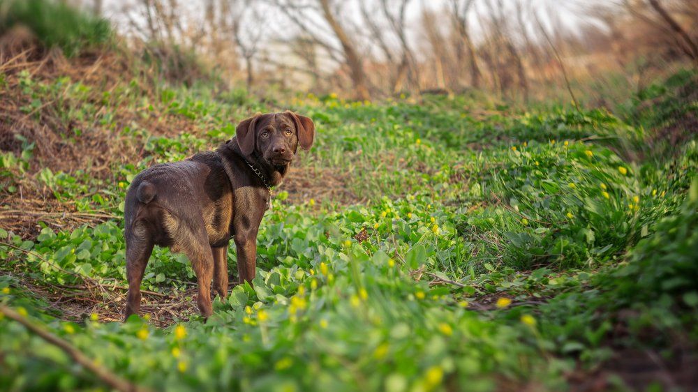 Photograph by Юрий Котов