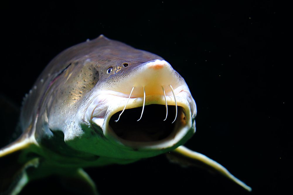 В то время, когда космические корабли бороздят просторы Вселенной...