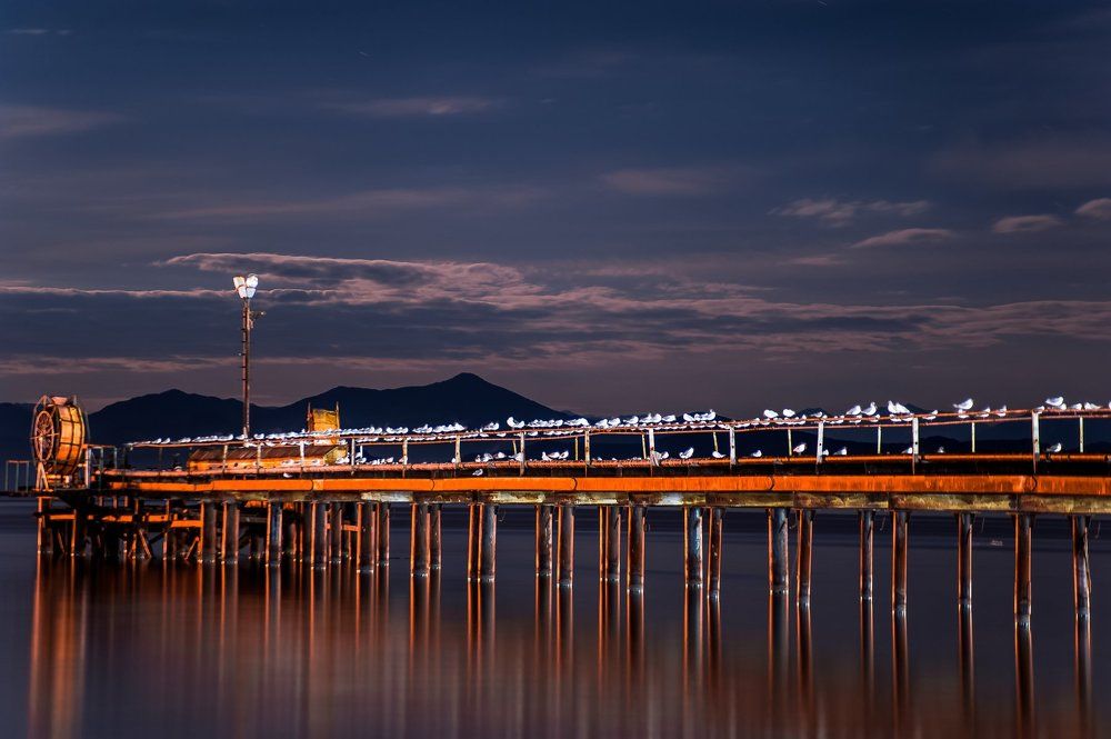 Photograph by Владимир Гавриленко