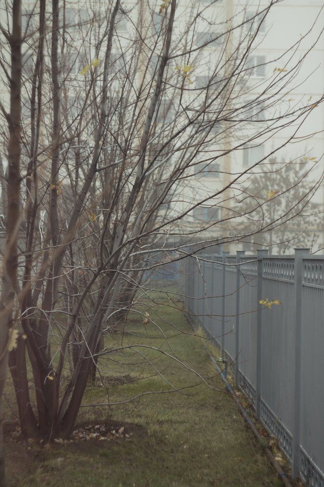 Photograph by Катерина