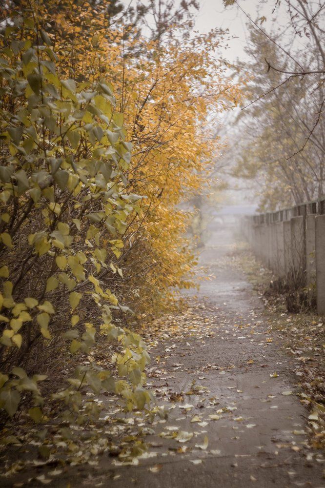 Photograph by Катерина