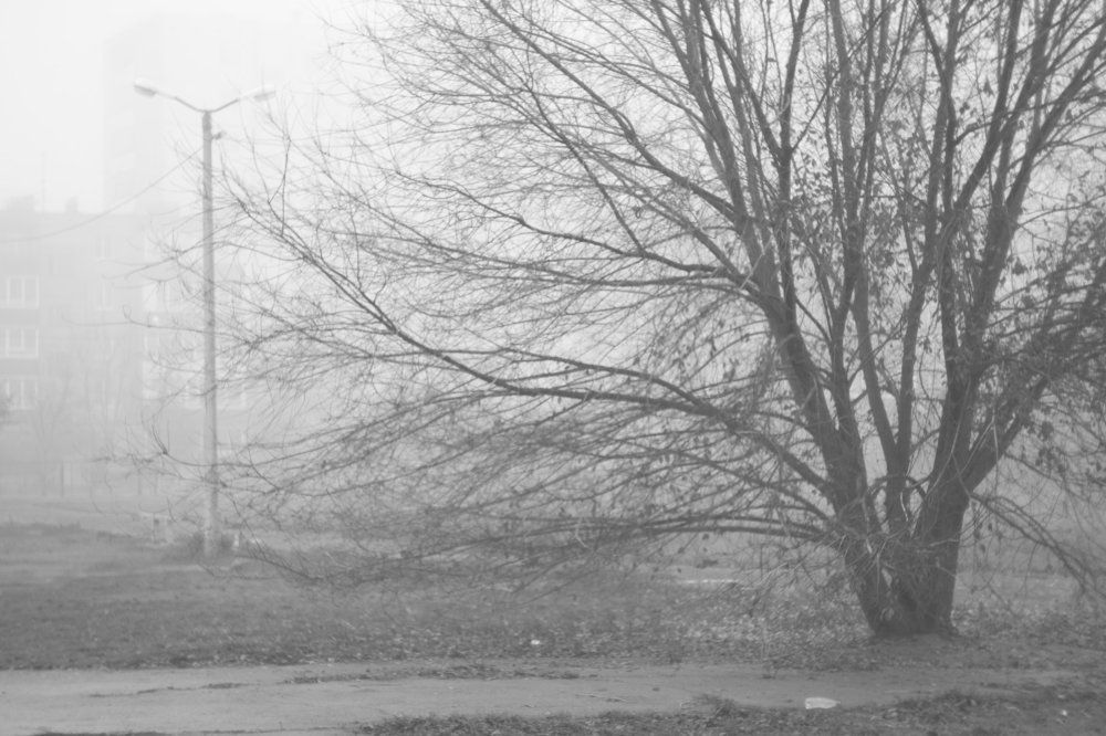 Photograph by Катерина