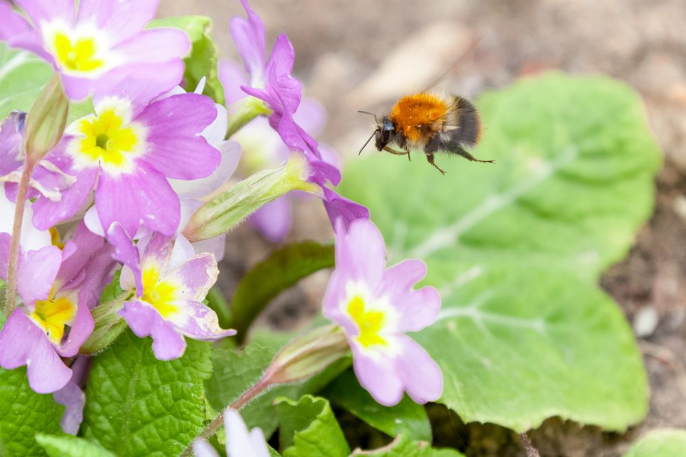 разрешите приземлиться?