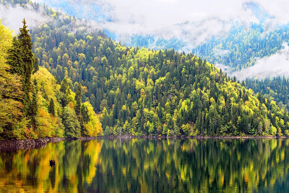 ОЗЕРО РИЦА В АБХАЗИИ