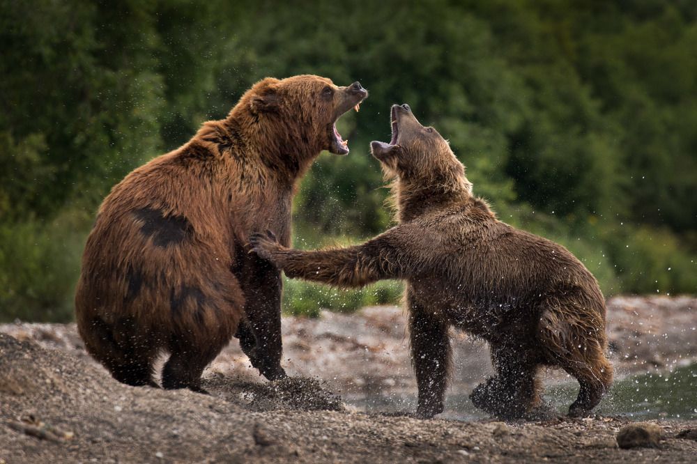 A friendly discussion