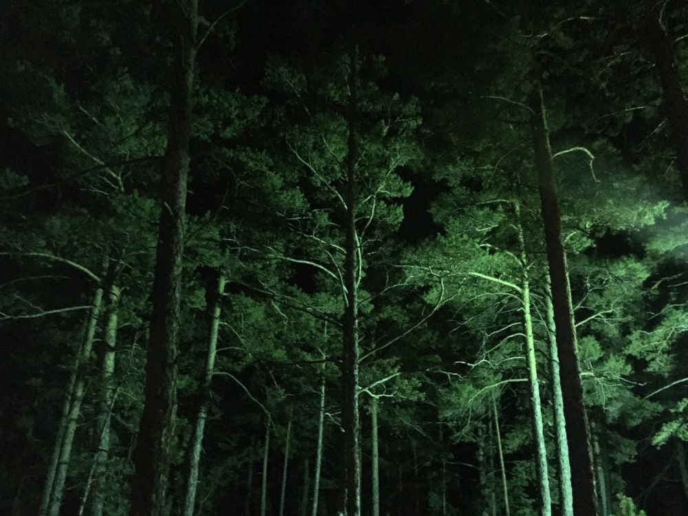 Photograph by Меруерт