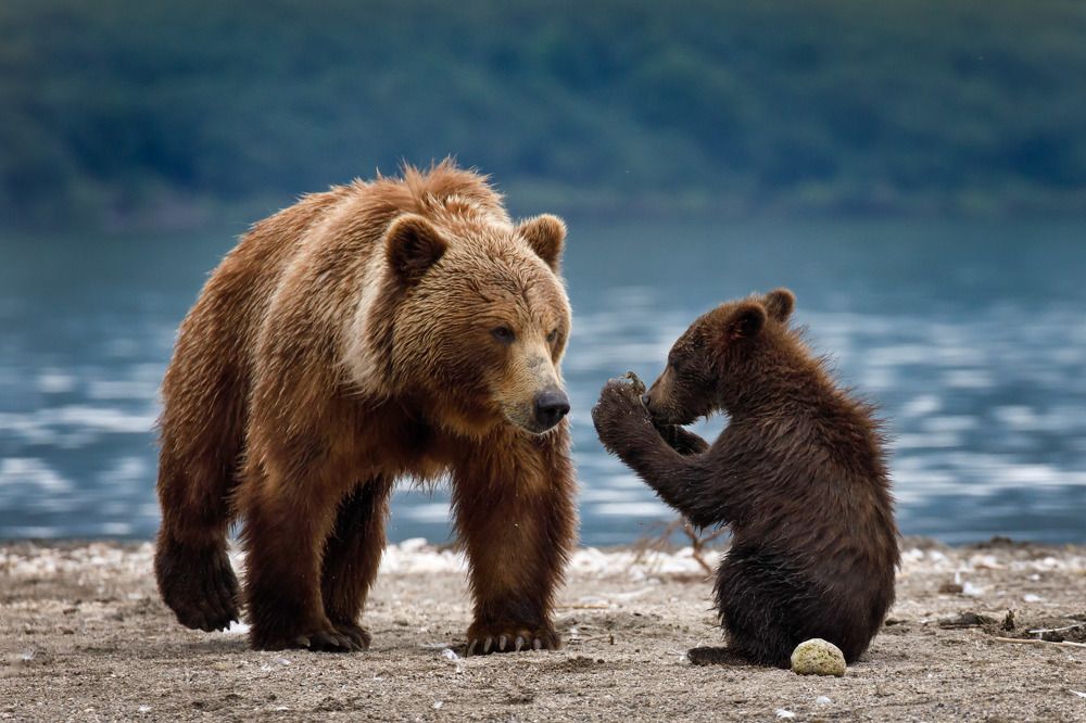 Look at what I found, Mom!