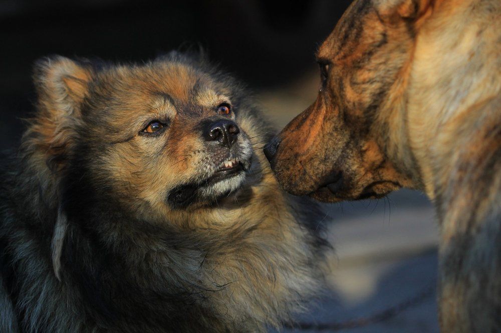 Мы такие разные...