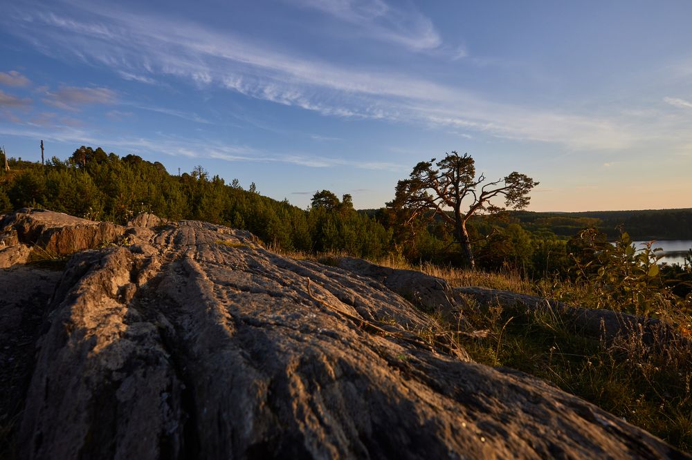 Photograph by Димтрий