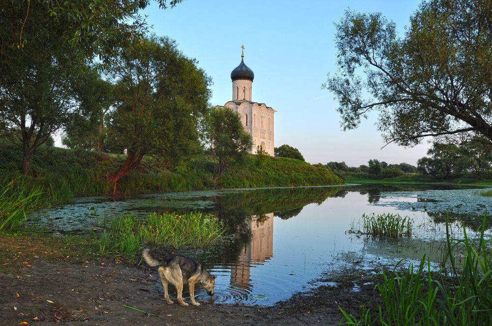 Покрова на Нерли