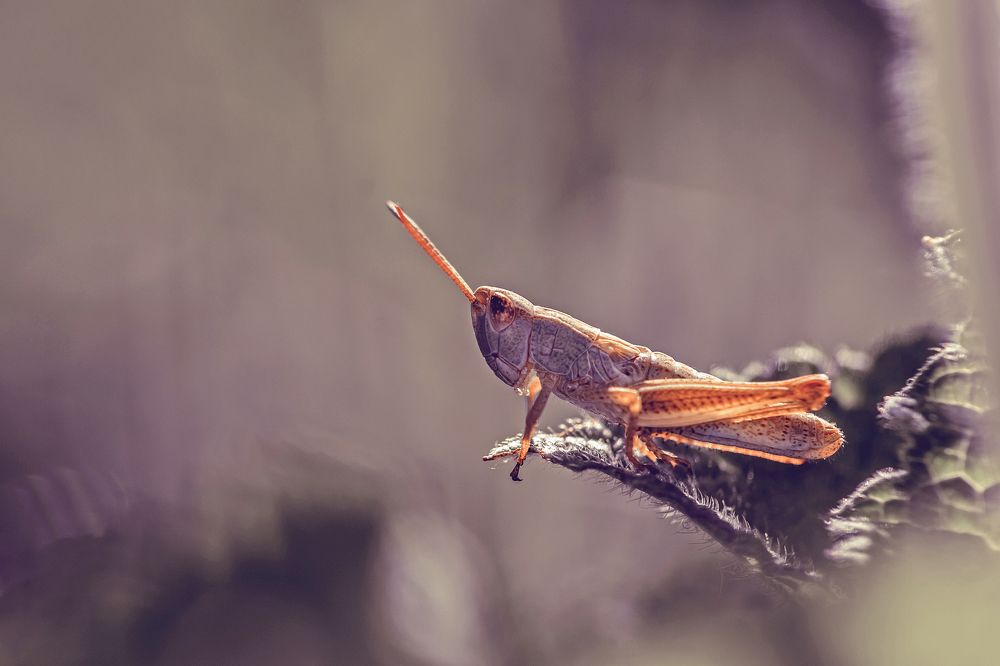 Photograph by Сергей Масленников