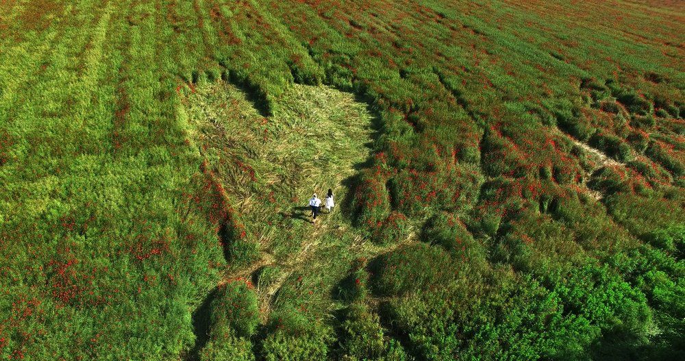 Фотография автора Мария Братан