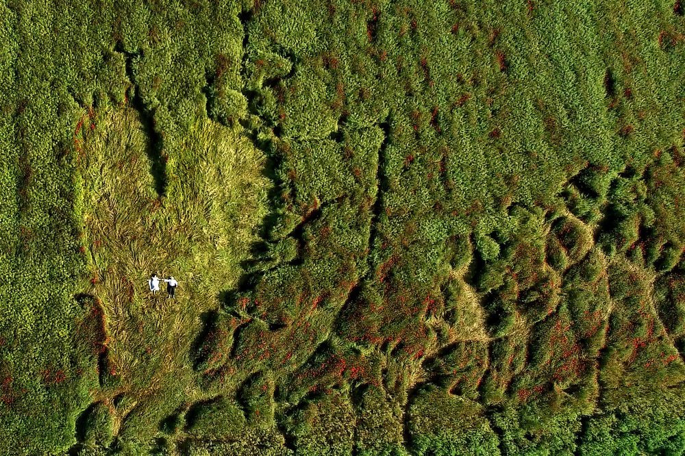 Фотография автора Мария Братан