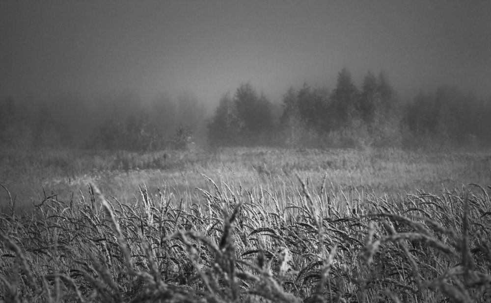 С другой стороны