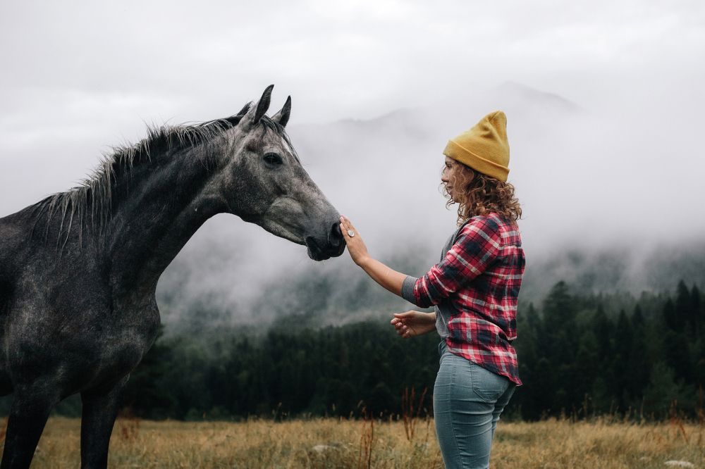 Знакомство с дикой лошадью