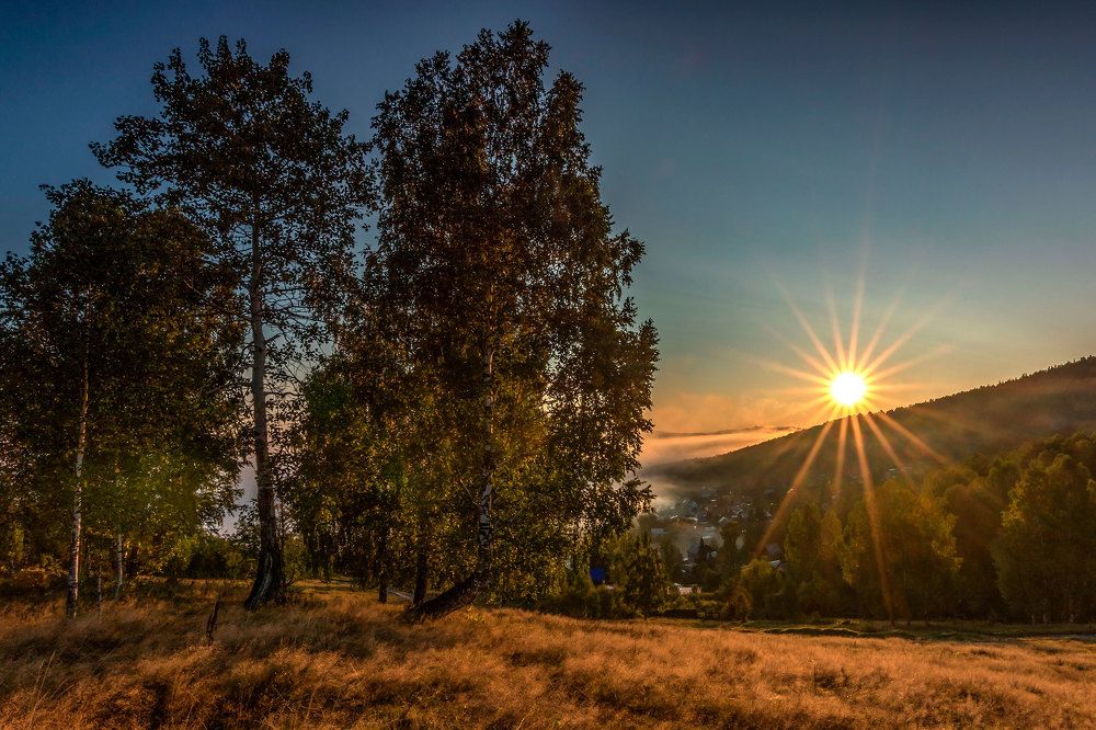 Восходящая звезда.