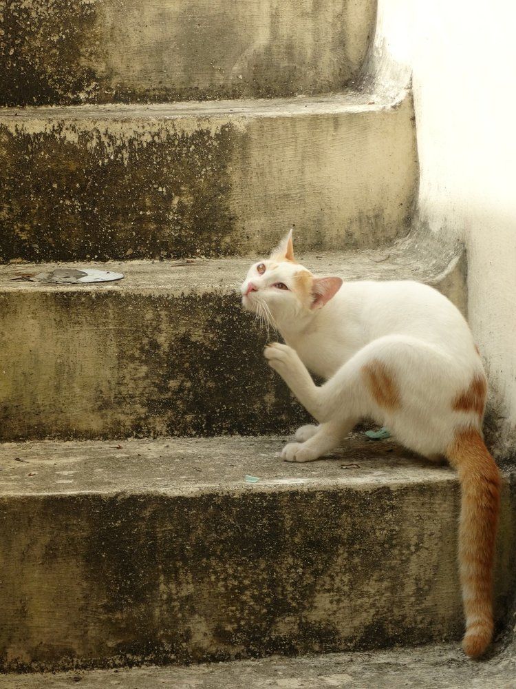 Photograph by Joe babu