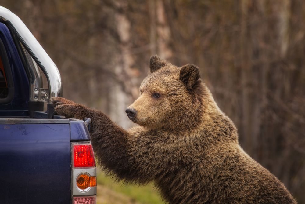 Новые струдники в ГИБДД плановая проверка