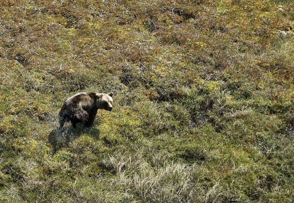 Удираем,но с оглядкой