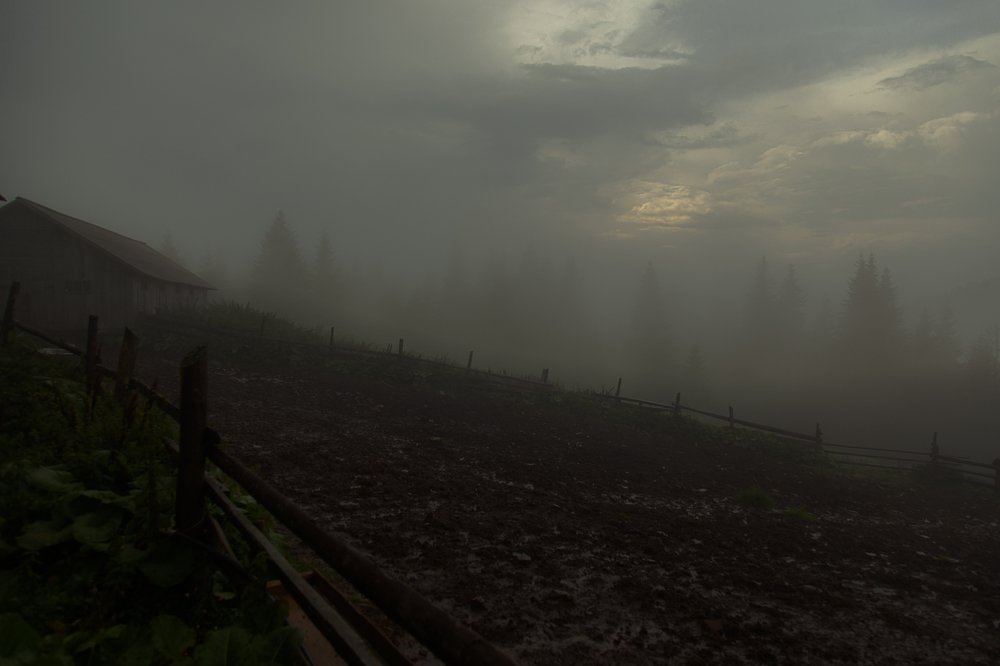 Бунгало в тумане