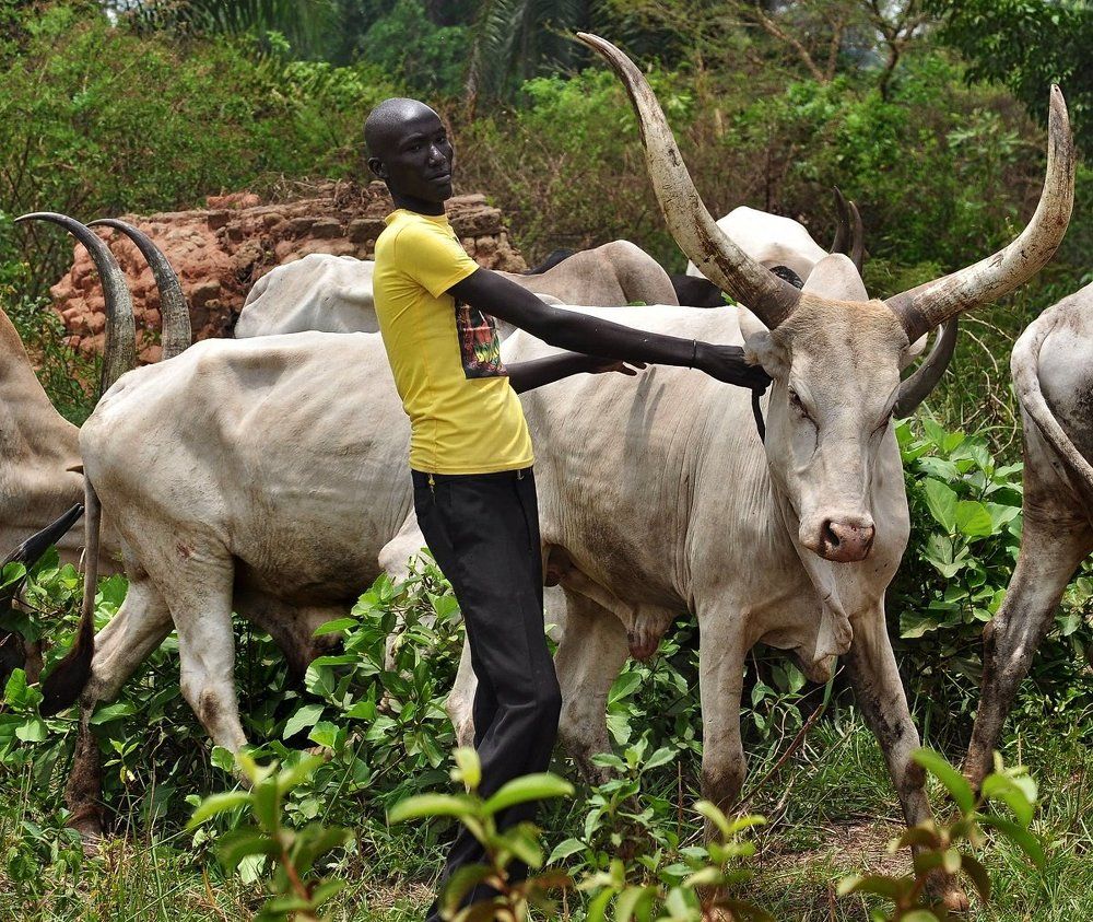 Приглашение к фотосессии