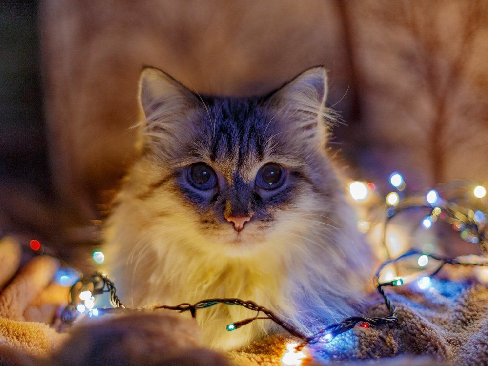 Photograph by Рыбин Сергей