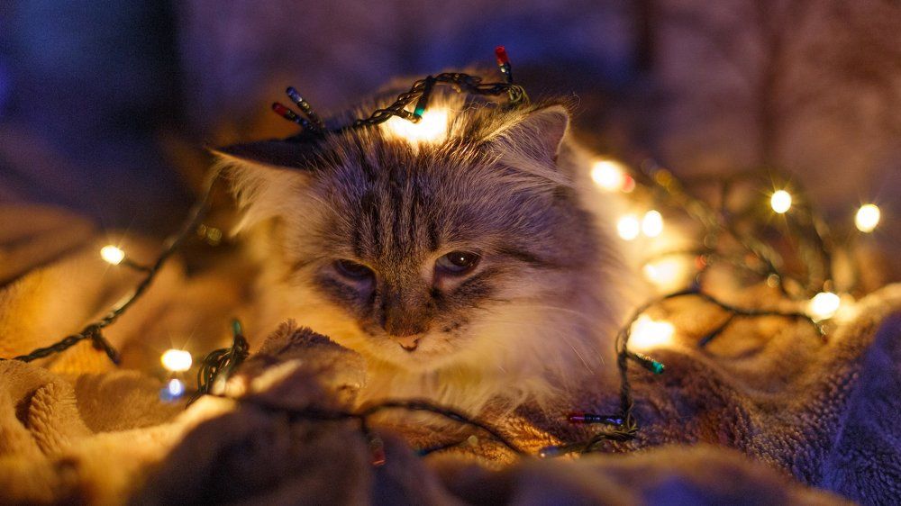 Photograph by Рыбин Сергей