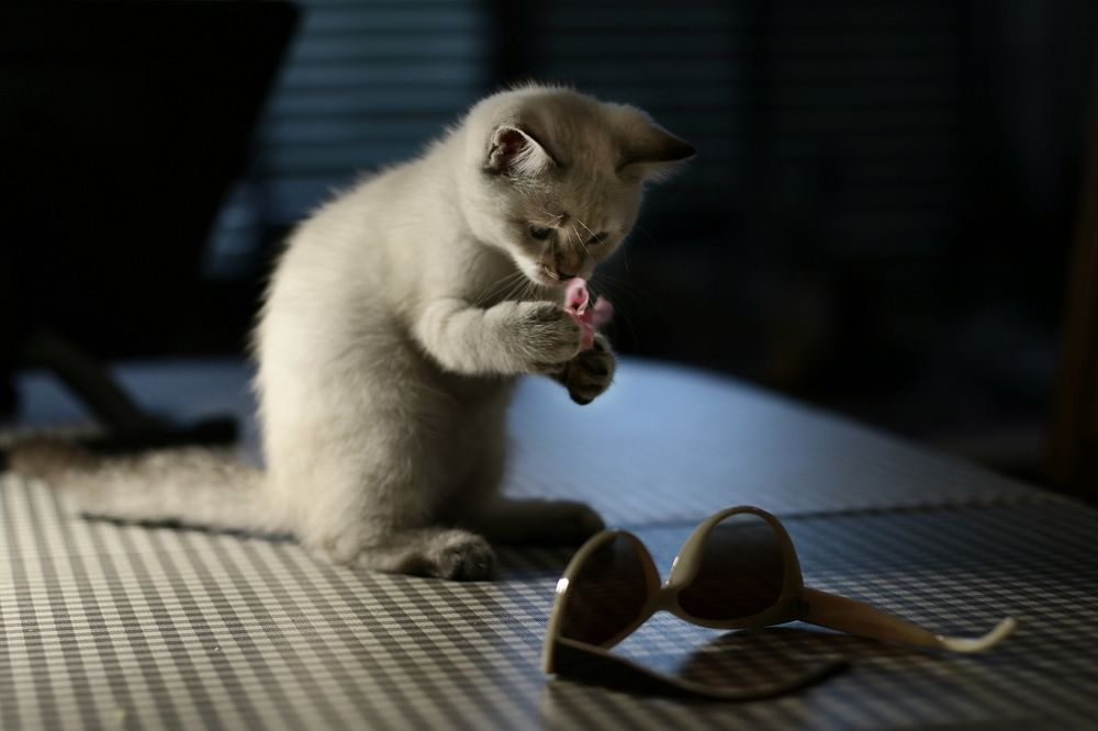 Photograph by Анжелика Гулина