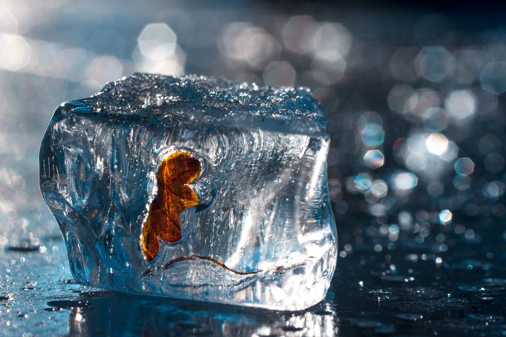 Photograph by Луговская Анастасия