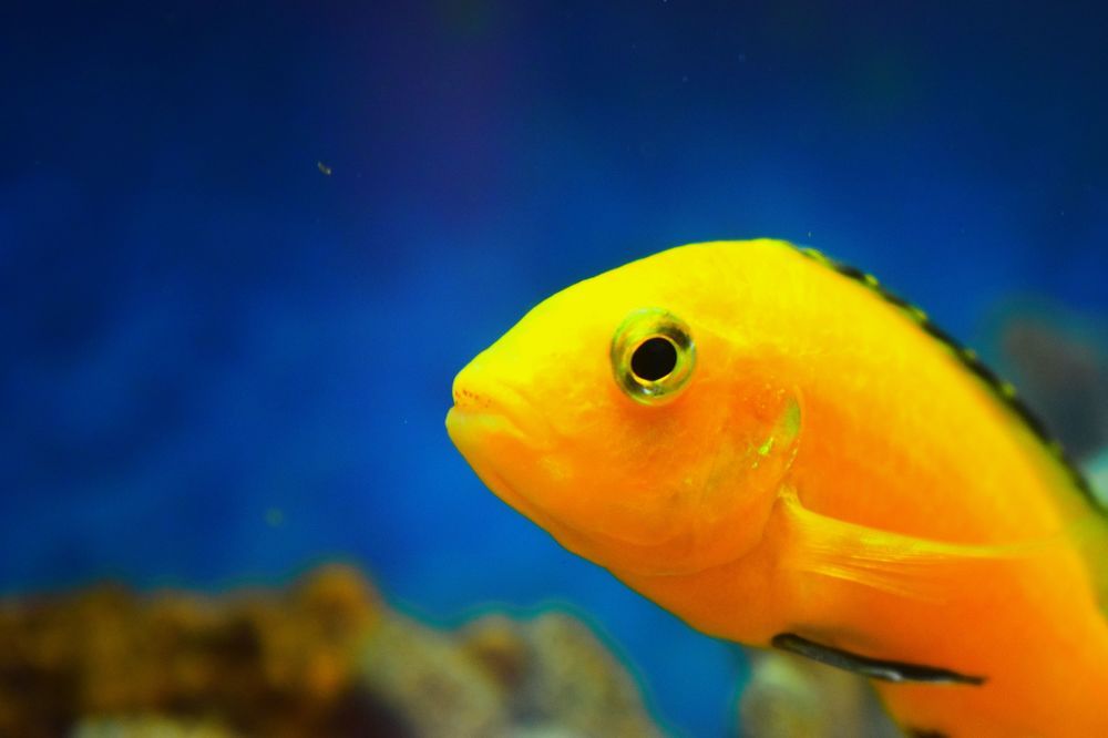 Photograph by Кристина