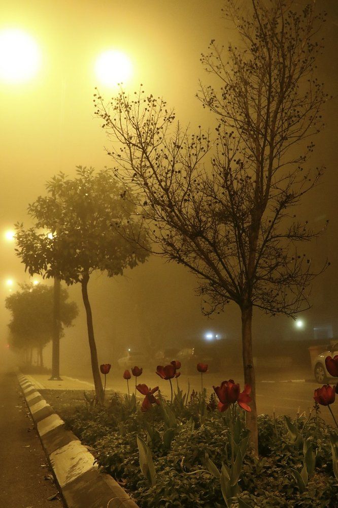 Photograph by Анжелика Гулина