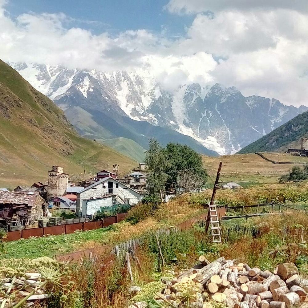 Жить без жизни