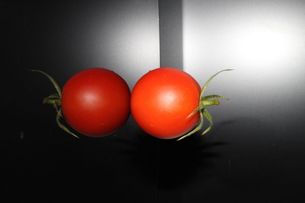 Photograph by Мари Глинская