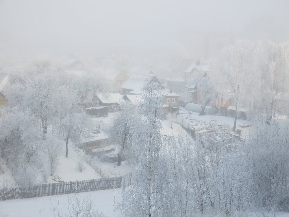 Зимний сон.