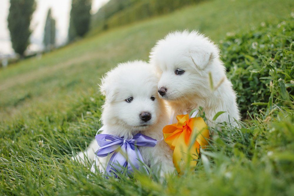 Photograph by Сергей Бесконечный