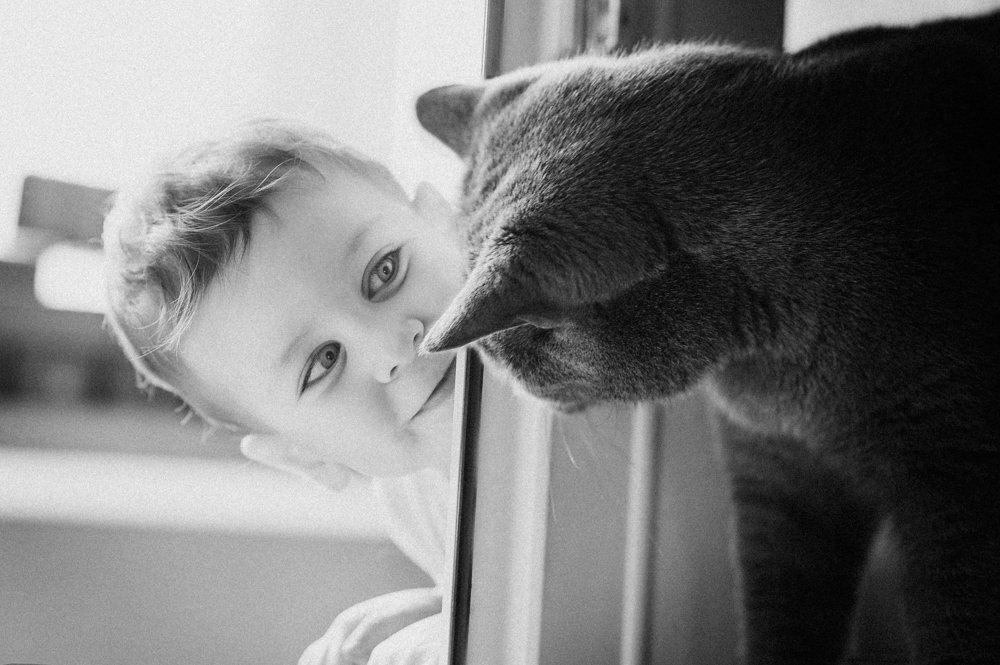 Photograph by Павлова Александра