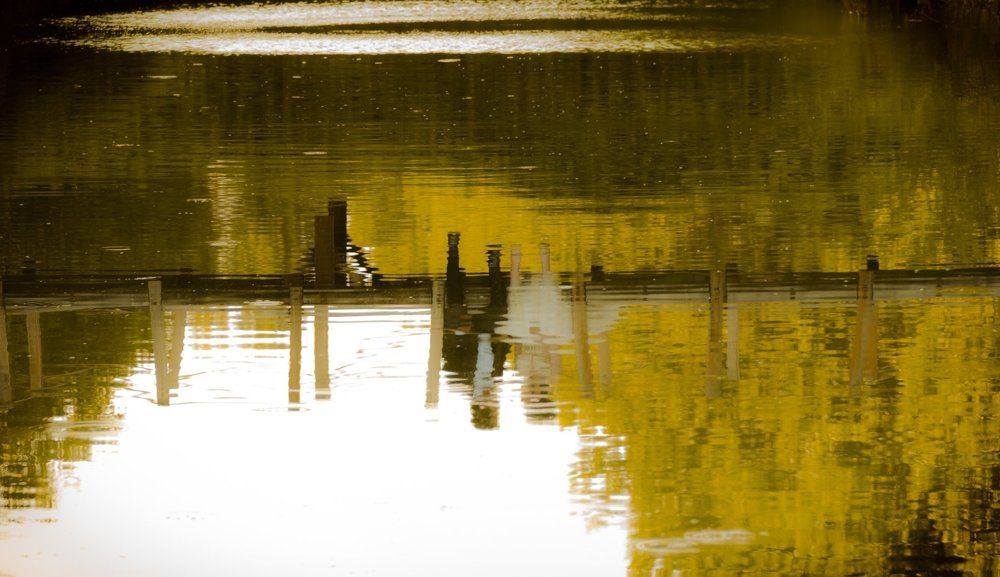 Photograph by Ali Nooralian