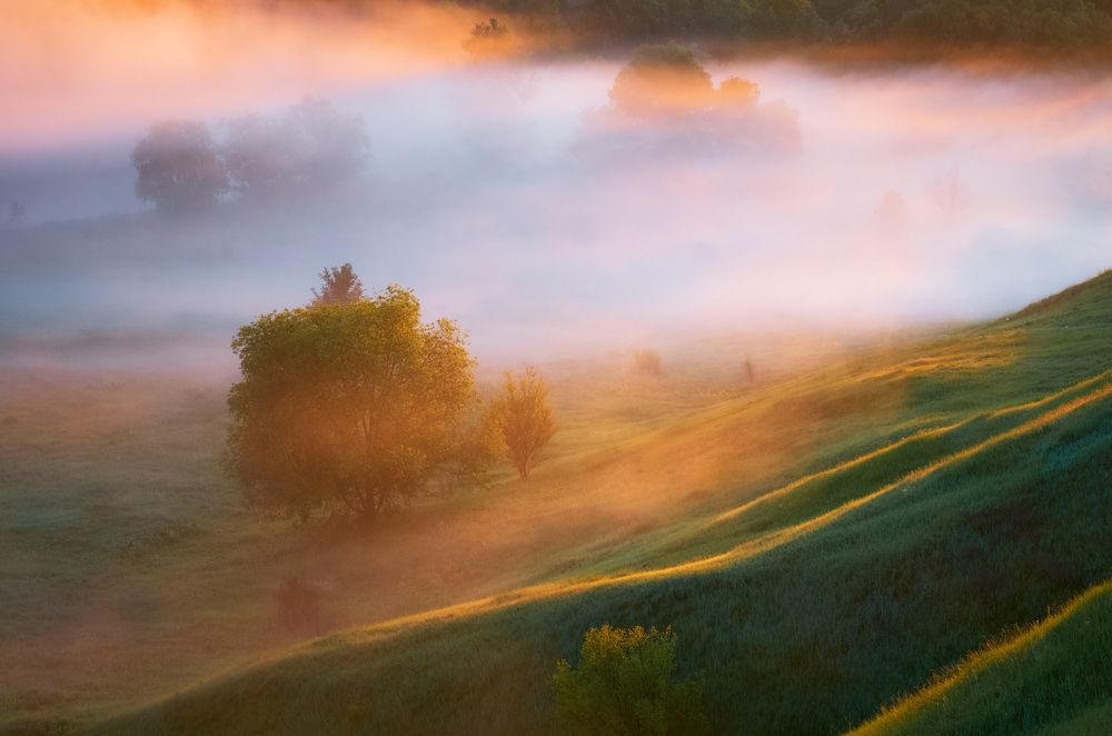 линии света ..
