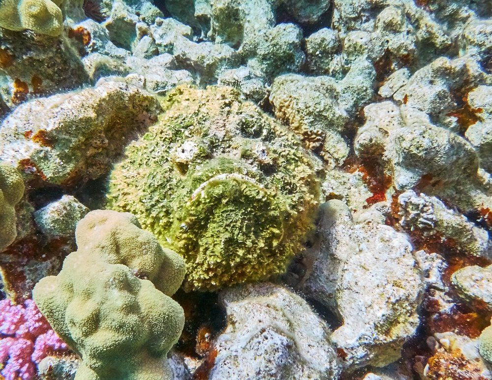 Опасный камень