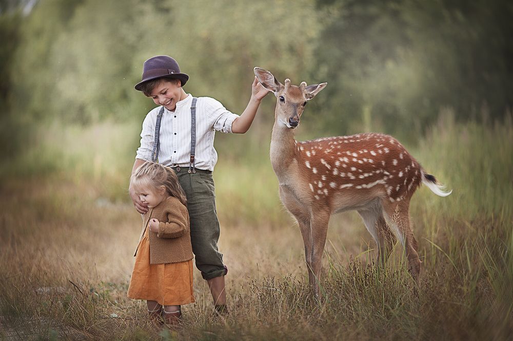 Из лесной сказки
