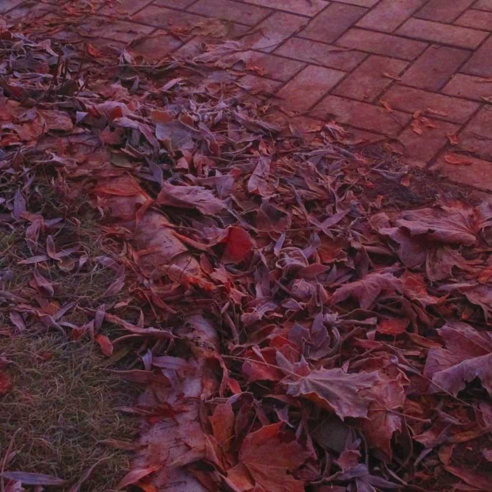 Photograph by Анна Аверьянова