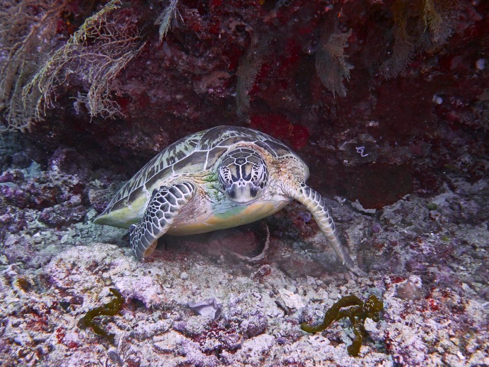 Чего? Какой ещё ключик?