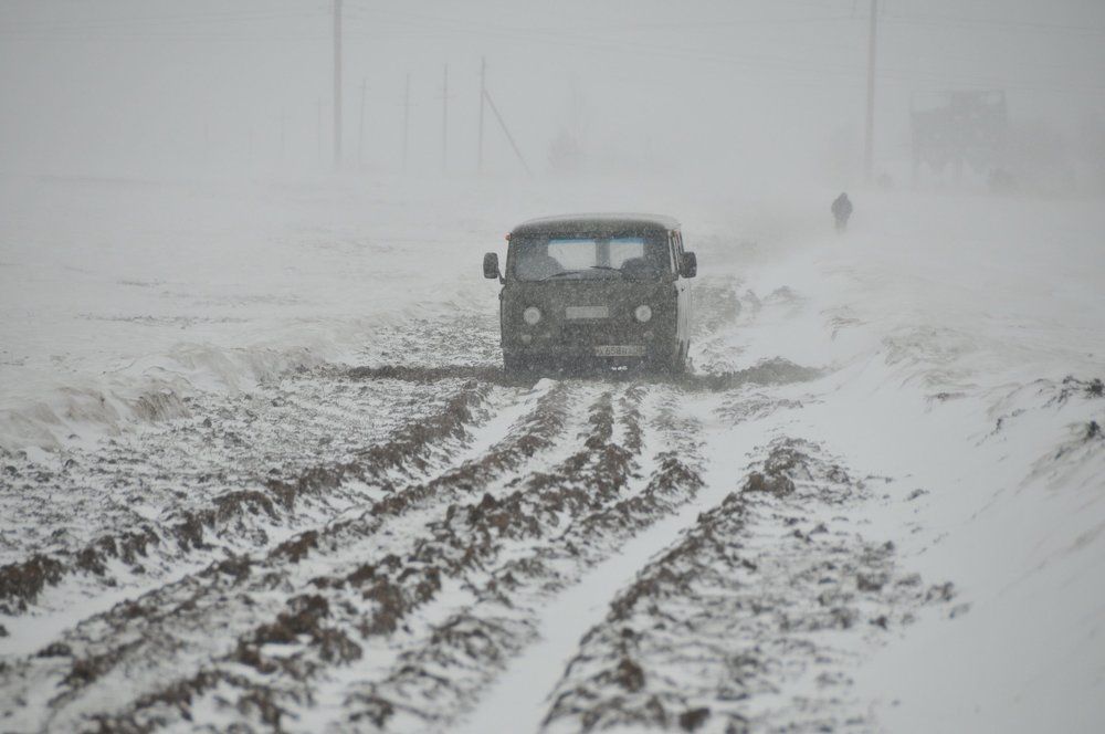 За трактором