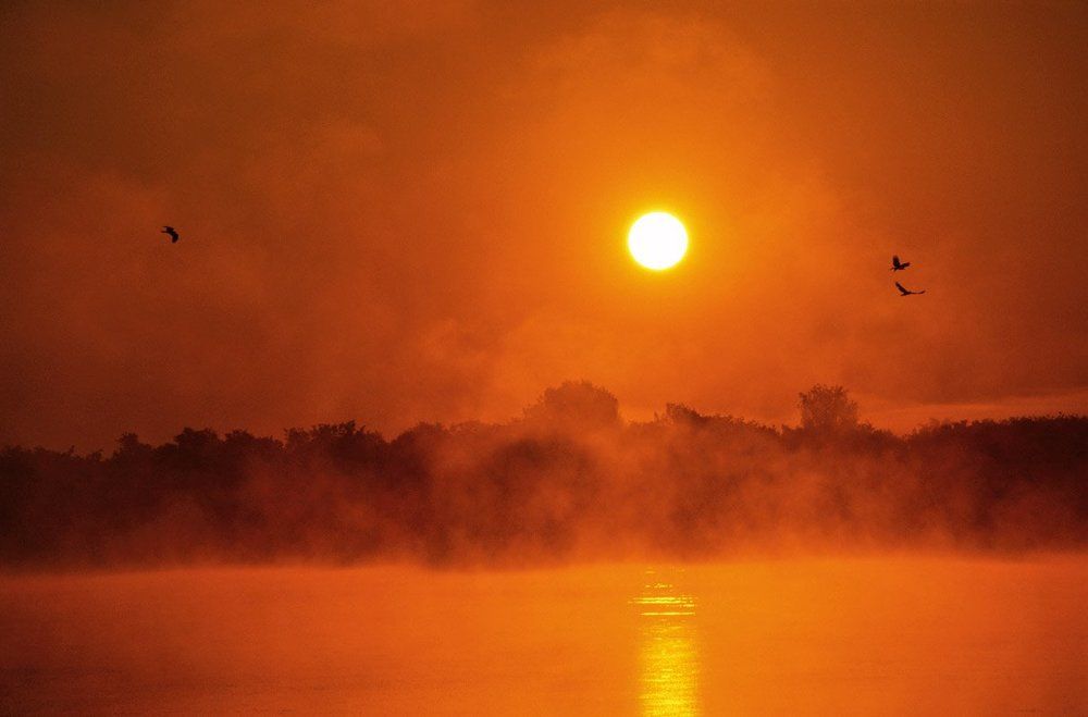 Предвестники дня