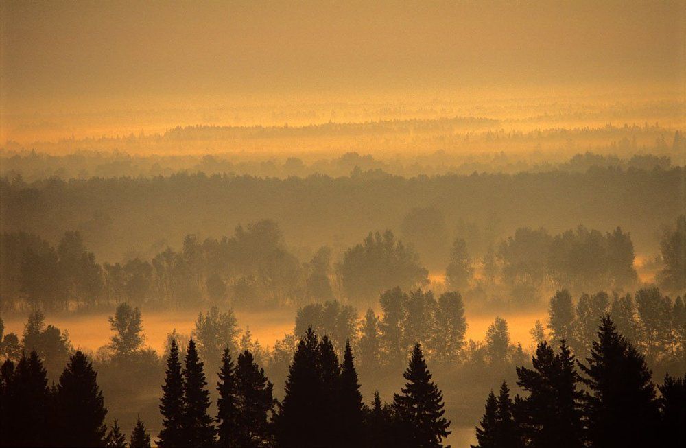 Туманные дали