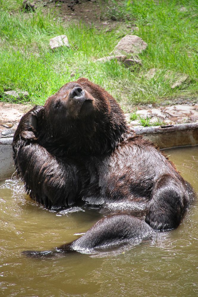 Photograph by Дмитрий Медянников